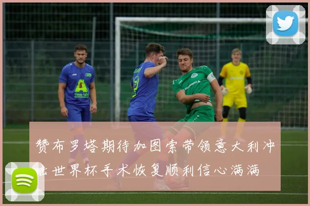 赞布罗塔期待加图索带领意大利冲击世界杯手术恢复顺利信心满满